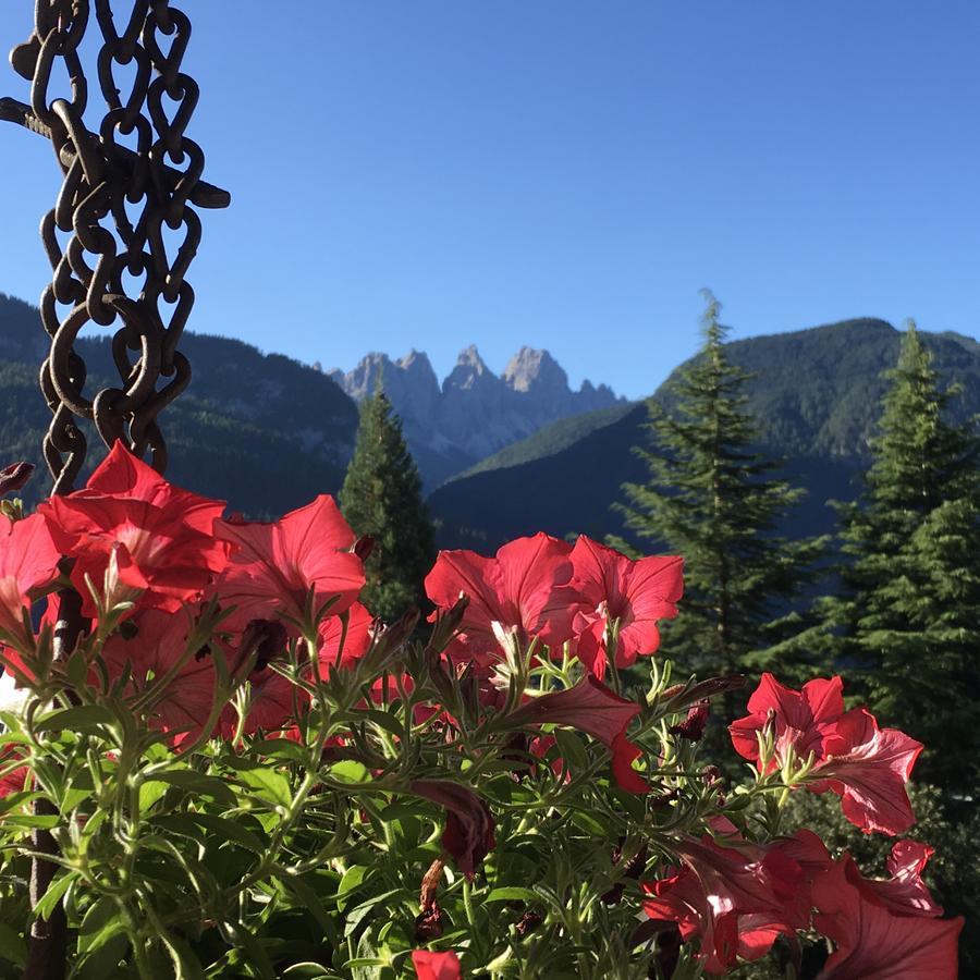 B&B Rossodisera Domegge di Cadore Esterno foto